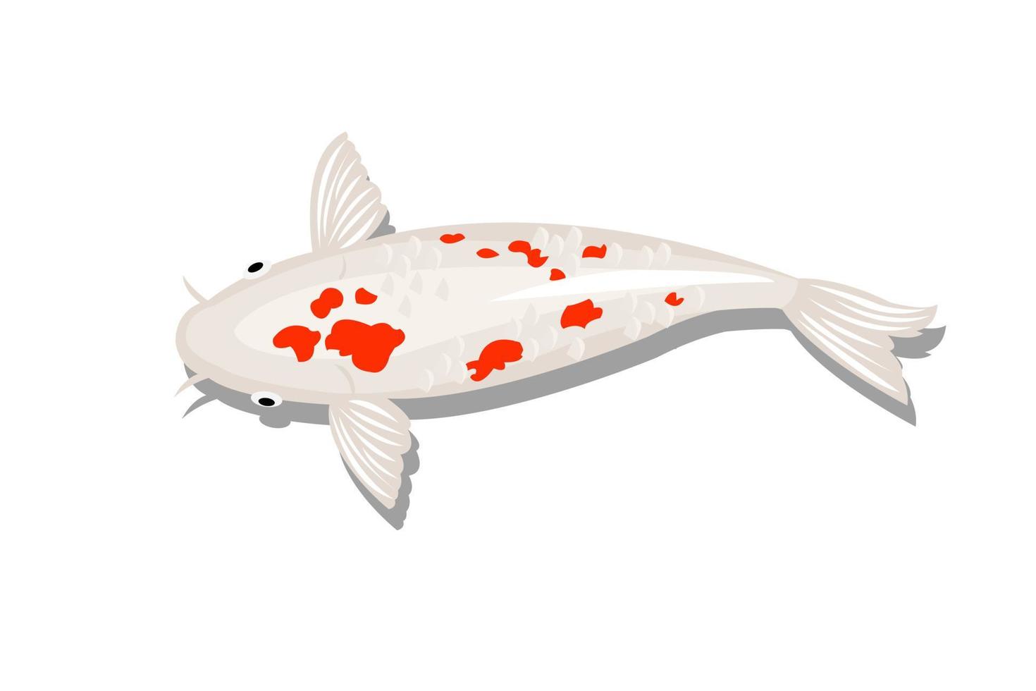 vector de pez koi blanco con manchas rojas