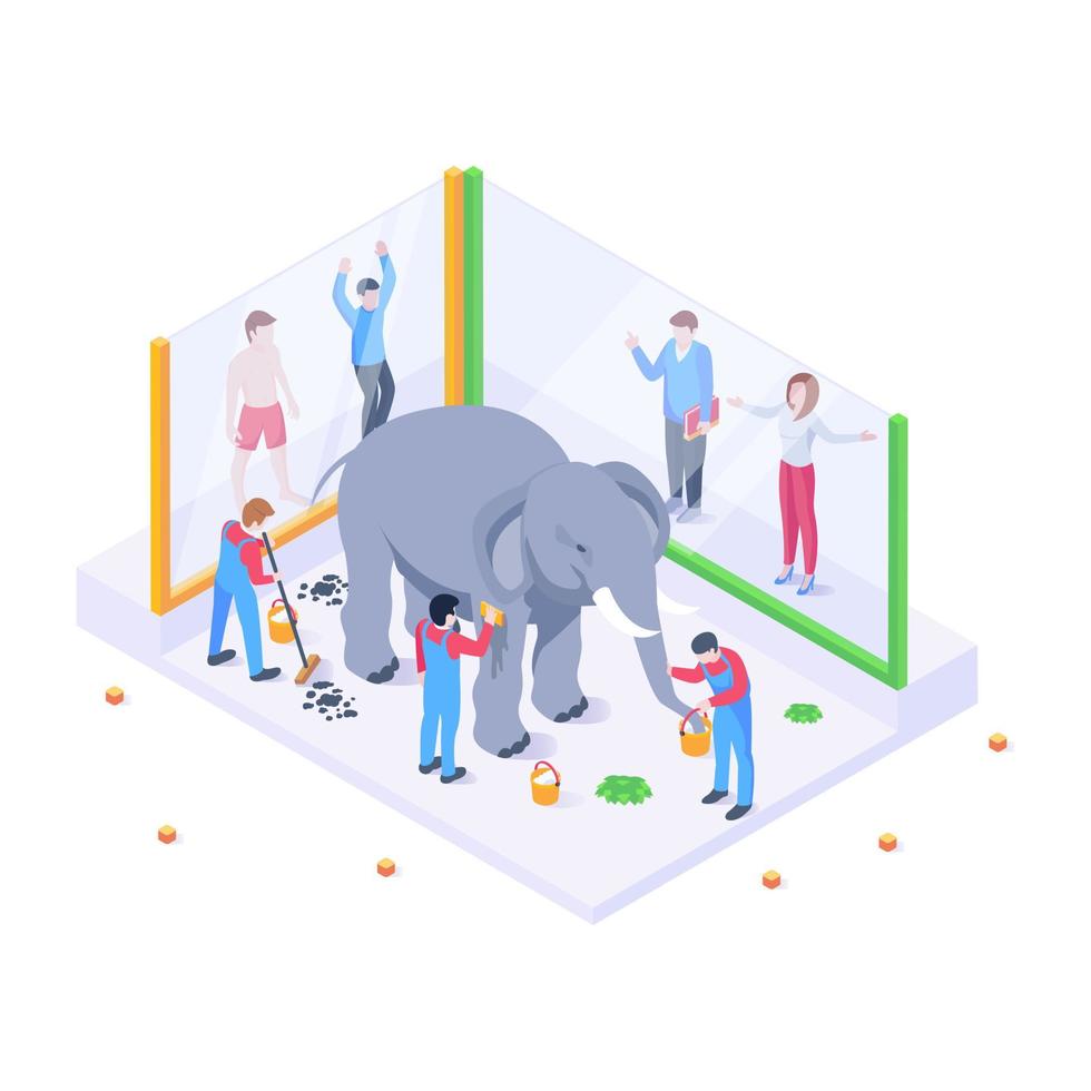 Persons cleaning elephant, isometric illustration of zoo workers vector