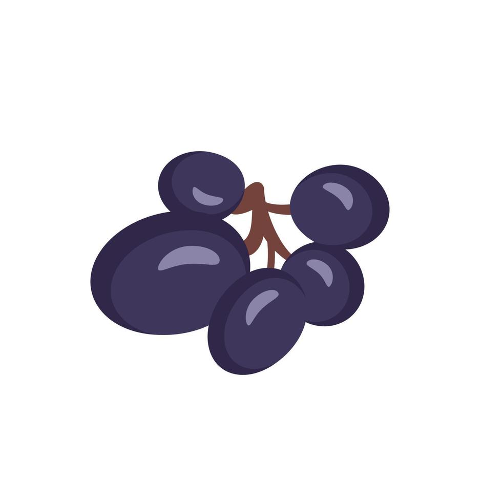 conjunto de uvas oscuras en ramas con bayas y hojas. comida dulce saludable, delicioso postre saludable. ilustración plana vectorial vector