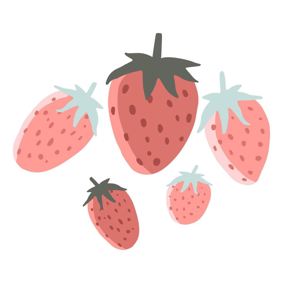 Sweet red strawberries set on white back ground vector