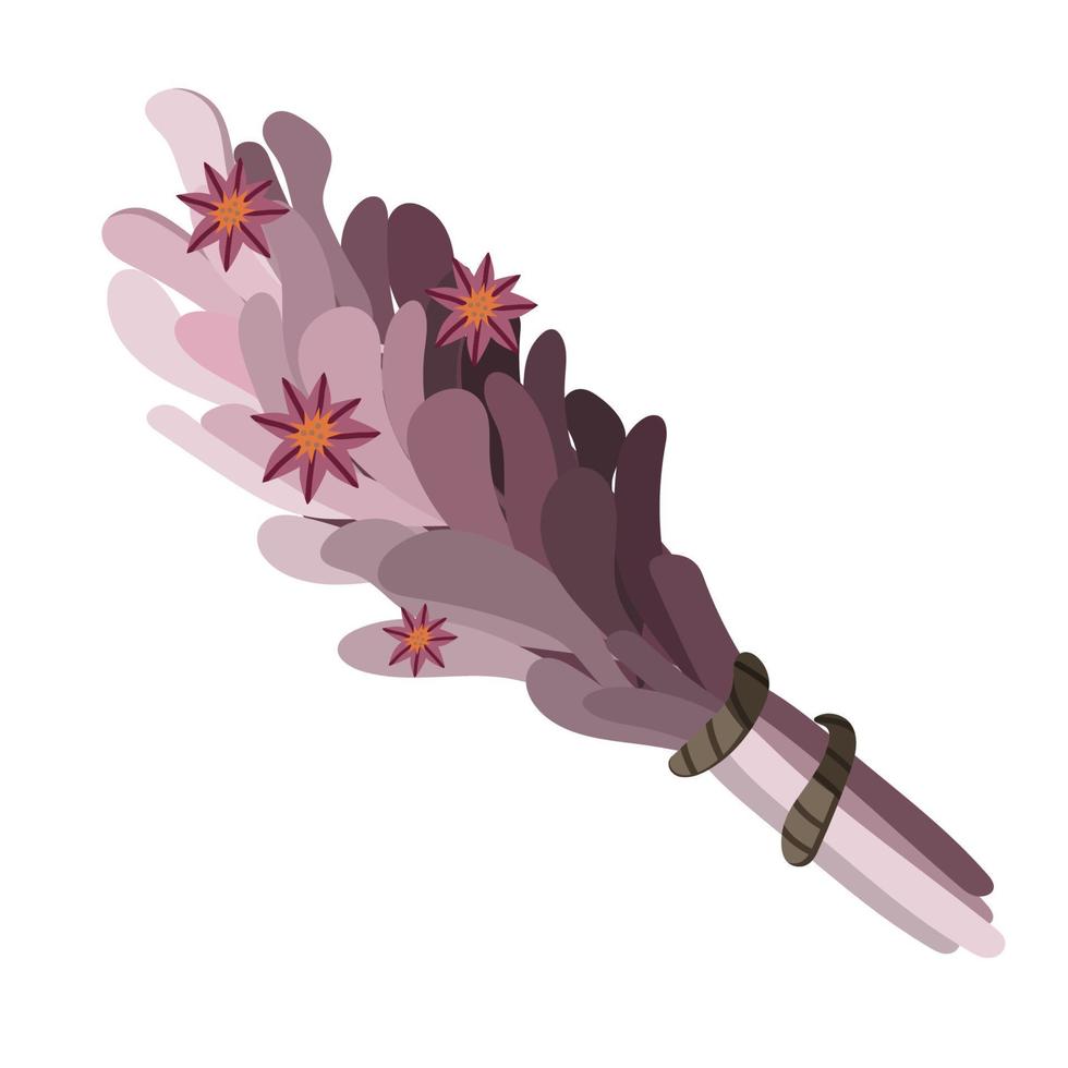 Purple herbal smudge bundle with red wild flowers vector