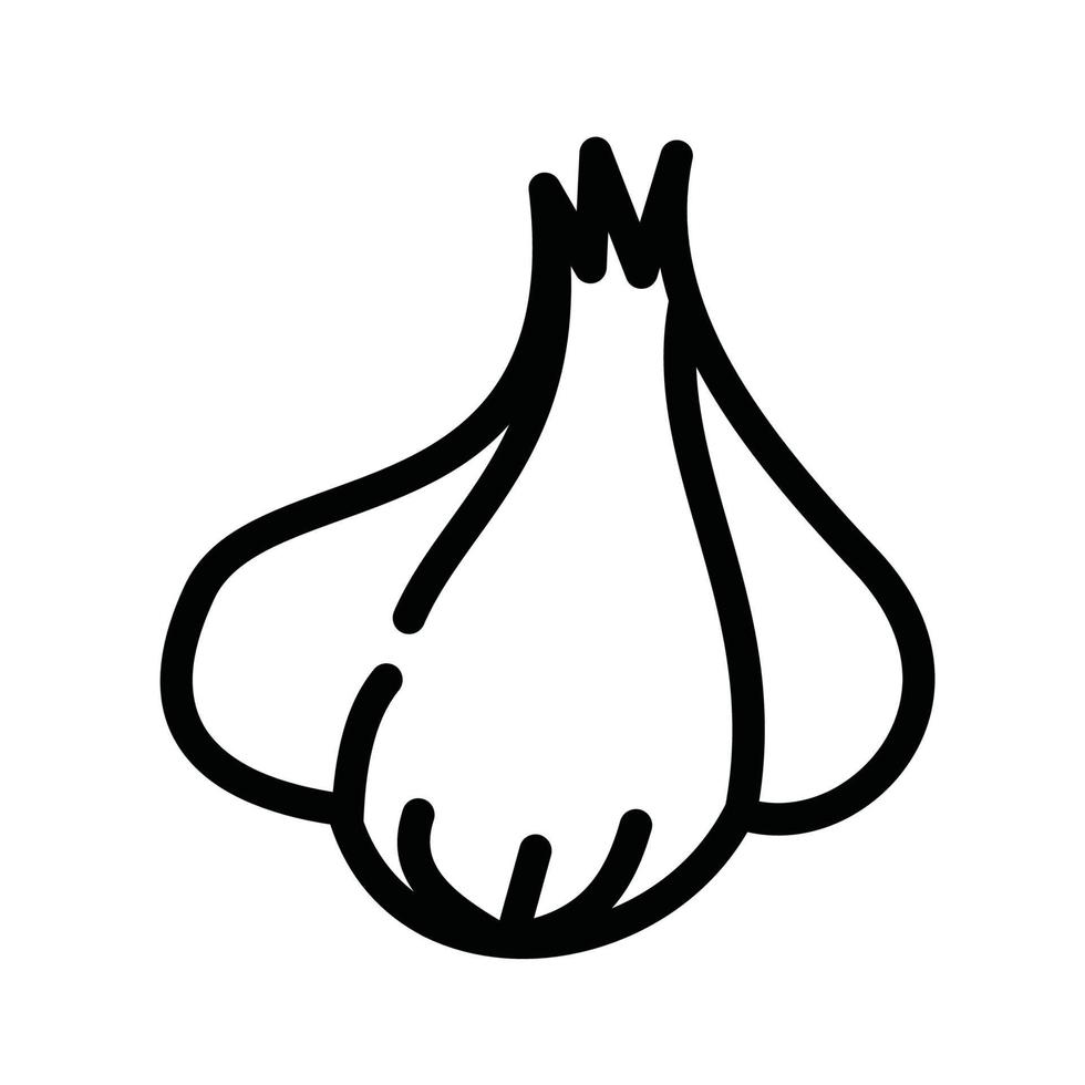 garlic vegetable icon vector