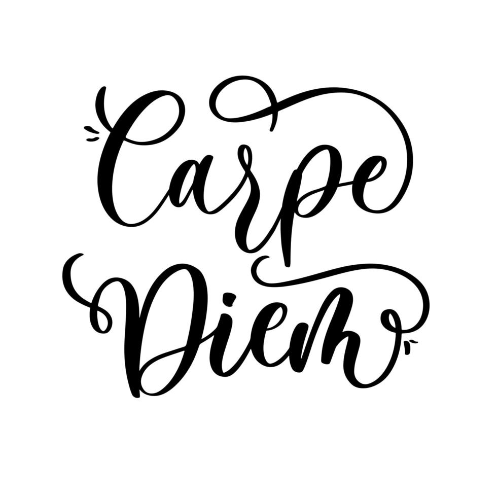 inscripción de letras carpe diem para el diseño de sitios web, camisetas, fundas de teléfonos, afiches, tazas, etc. vector