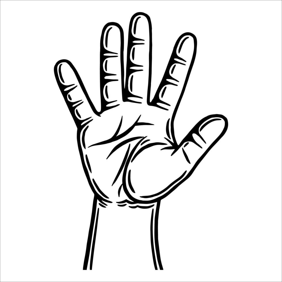 Male hand gestures. Human palm. Outline contour. Design element. Vector illustration isolated on white background. Template for books, stickers, posters, cards, clothes.