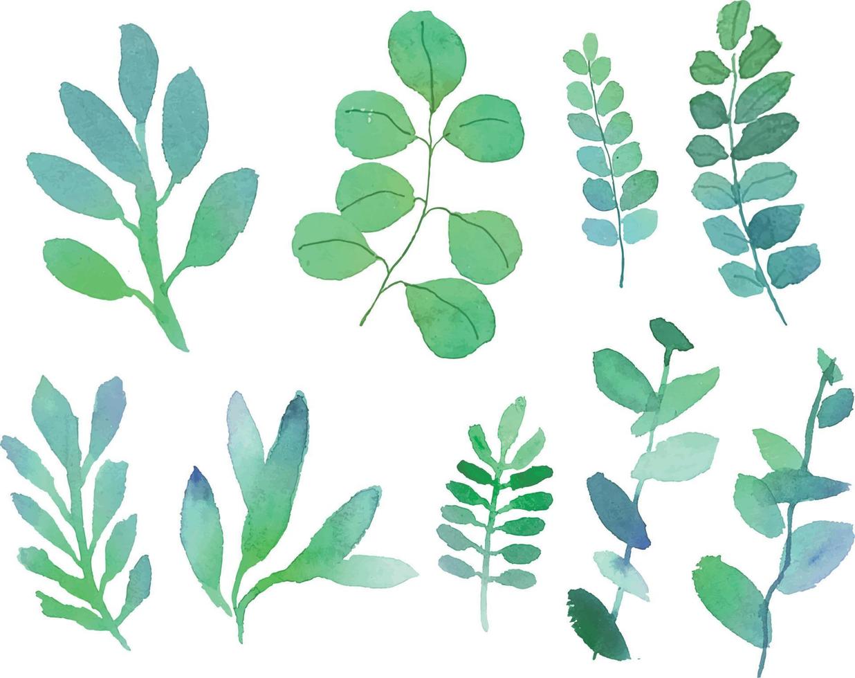 Set of watercolor leaves vector