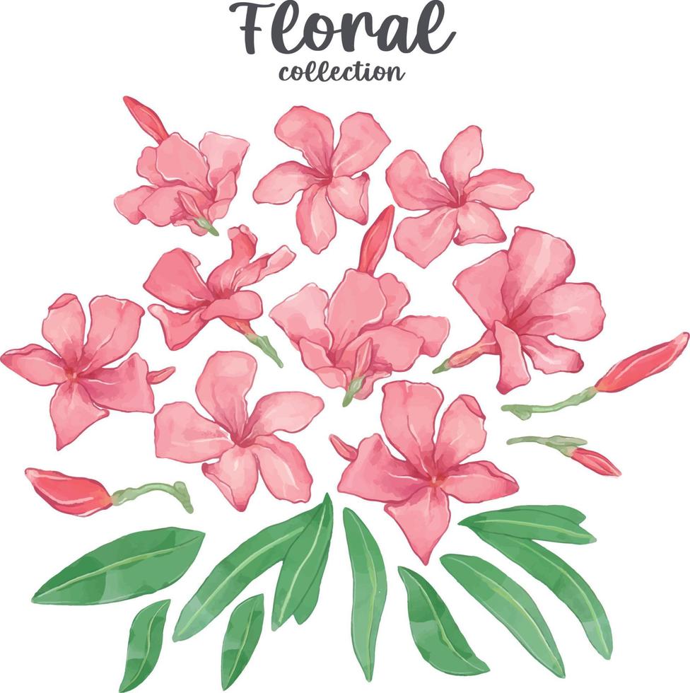 Collection of handrawn spring flowers vector