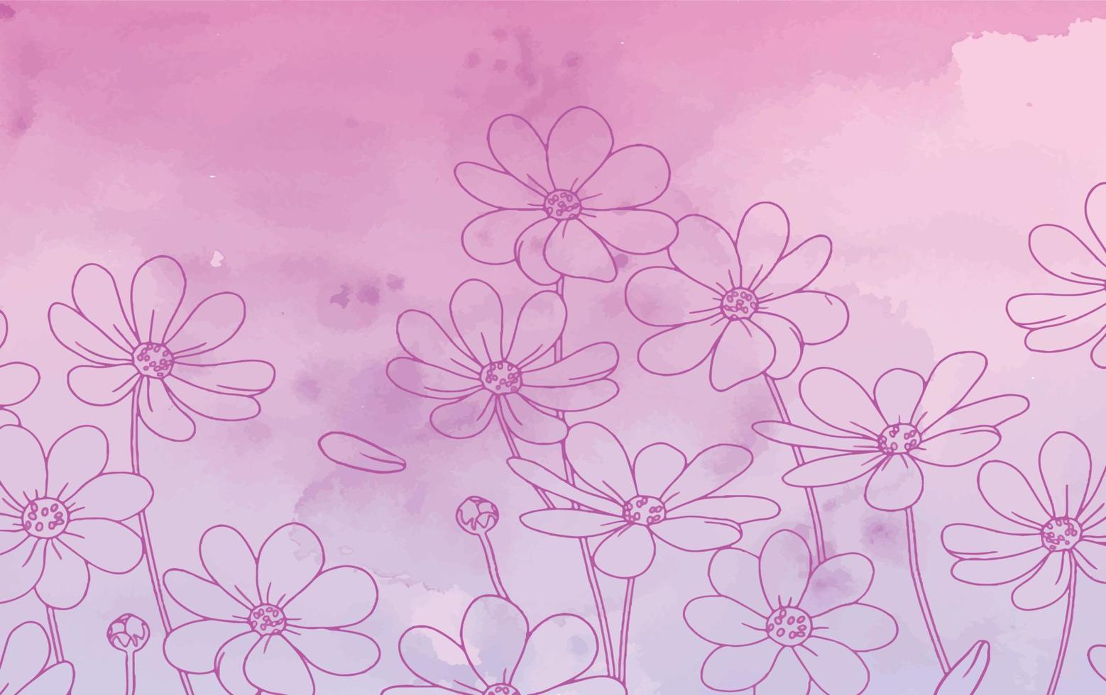 Background pink daisies in watercolor vector