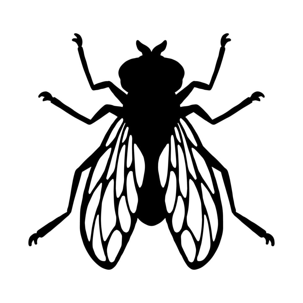 Fly insect. Black silhouette. Design element. Vector illustration isolated on white background. Template for repellent.