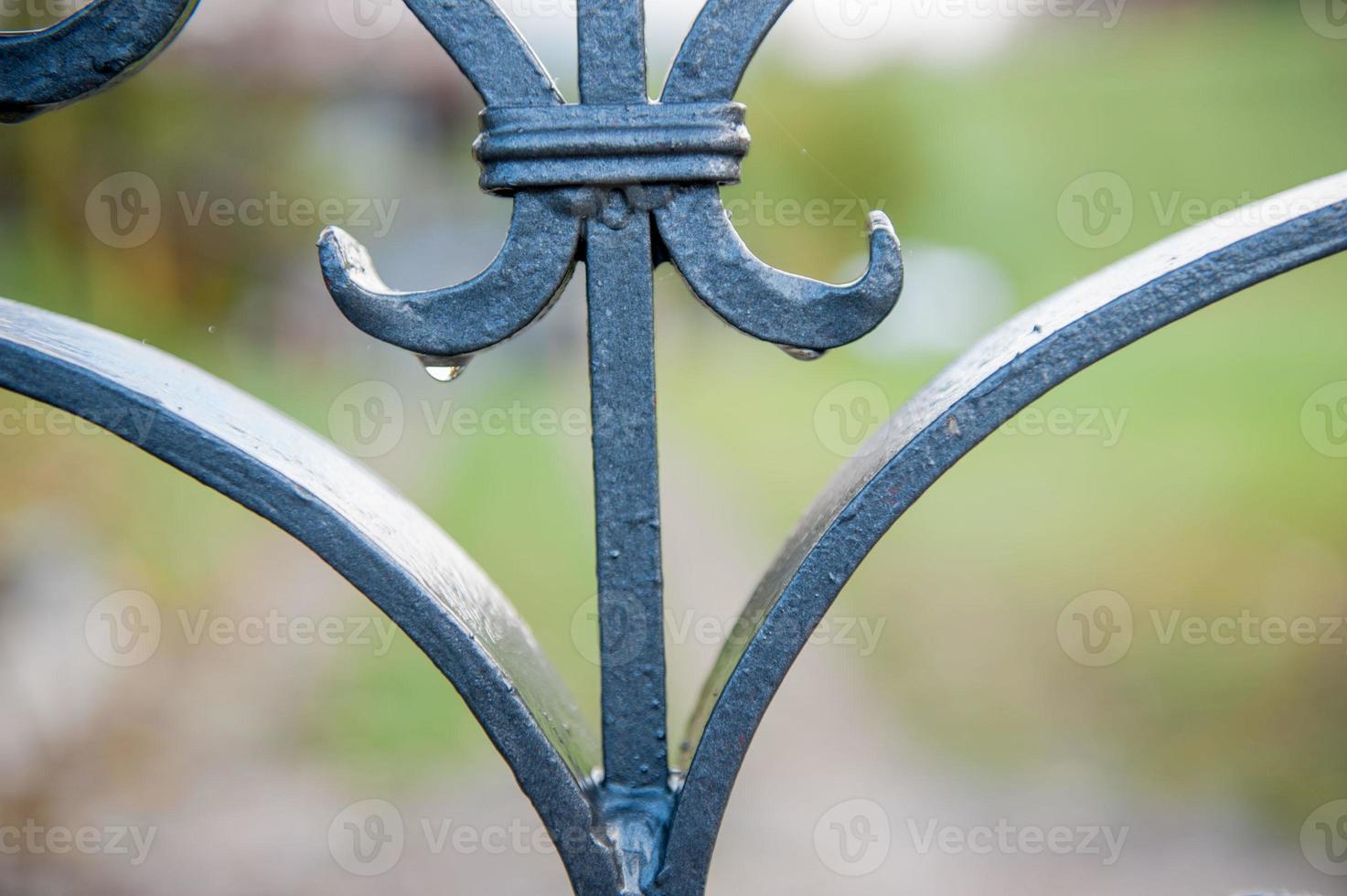 Handcrafted iron gate photo