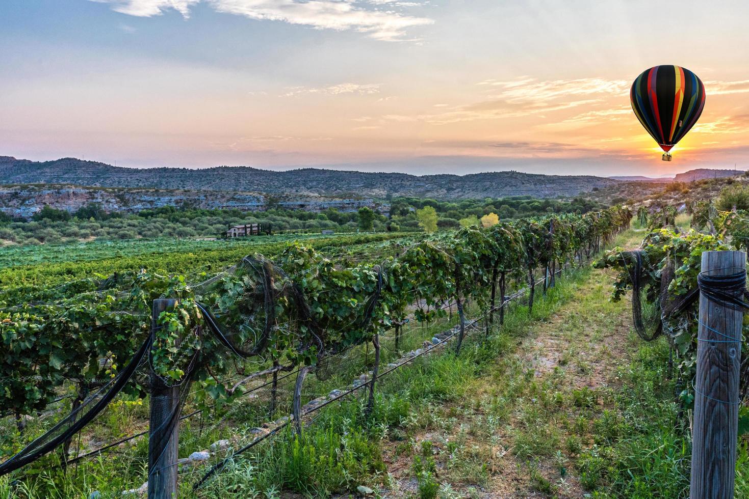 Arizona Wine Country 5517119 Stock Photo at Vecteezy