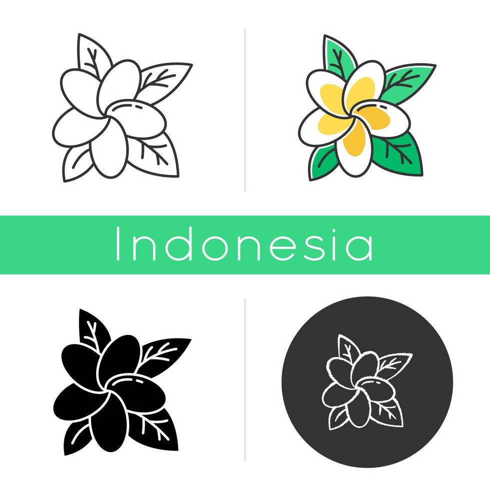 Plumeria icon. Exotic region flowers. Flora of Indonesian islands. Tropical plants. Blossom of frangipani. Nature of Bali. Linear, black, chalk and color styles. Isolated vector illustrations