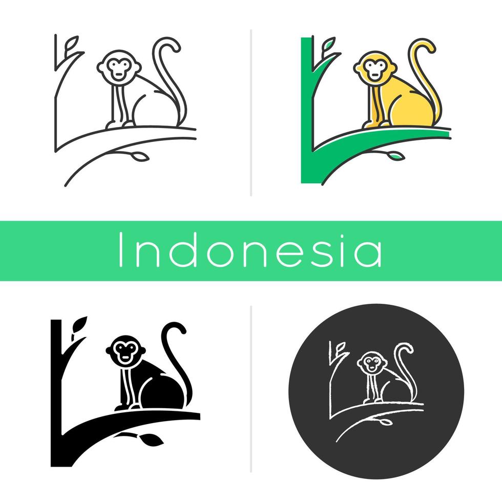 Baby monkey icon. Tropical country animal, mammal. Exploring Indonesian islands wildlife. Cute primate sitting. Linear, black, chalk and color styles. Isolated vector illustrations