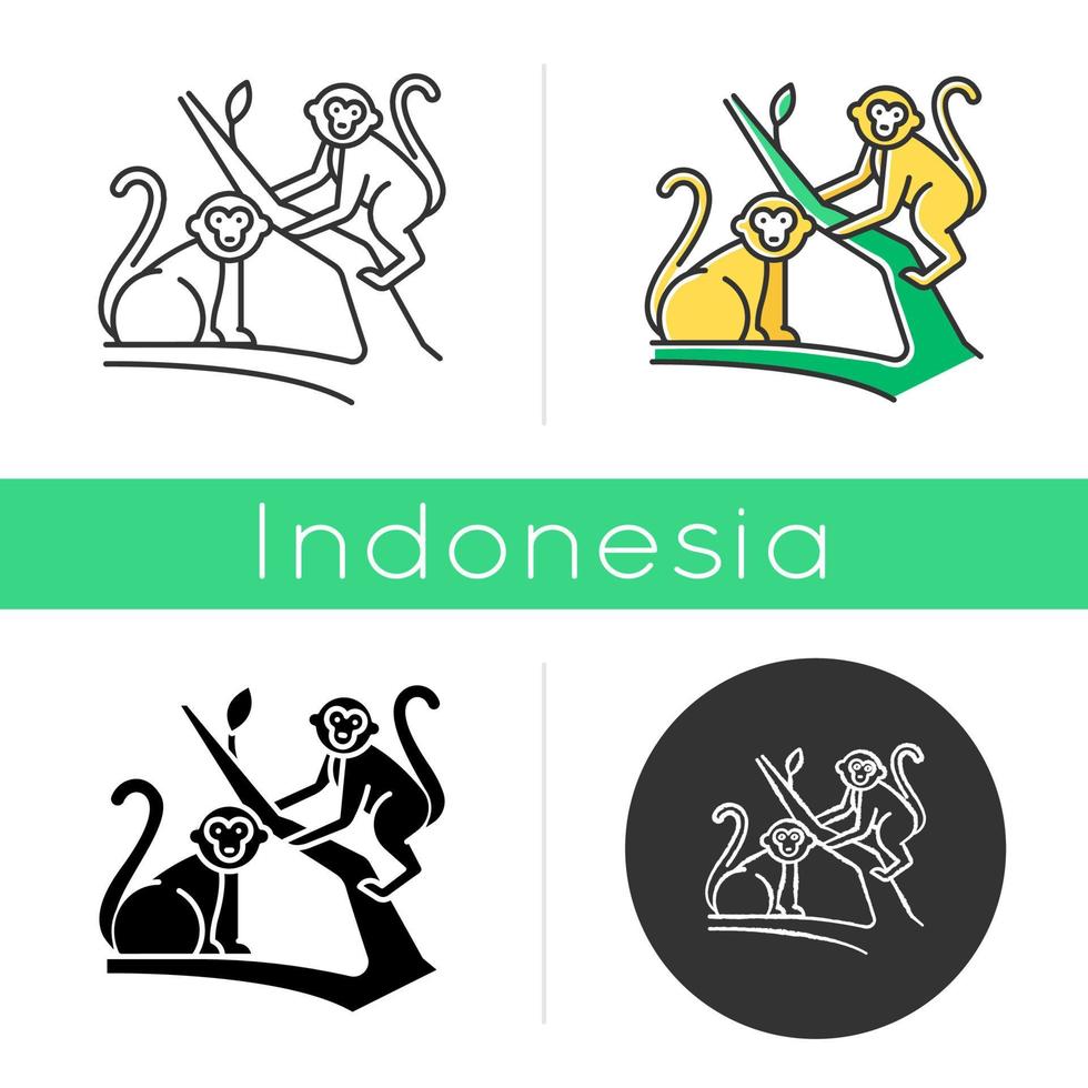 Monkeys in jungle icon. Tropical country animals, mammals. Exploring exotic Indonesia wildlife. Primates sitting. Linear, black, chalk and color styles. Isolated vector illustrations