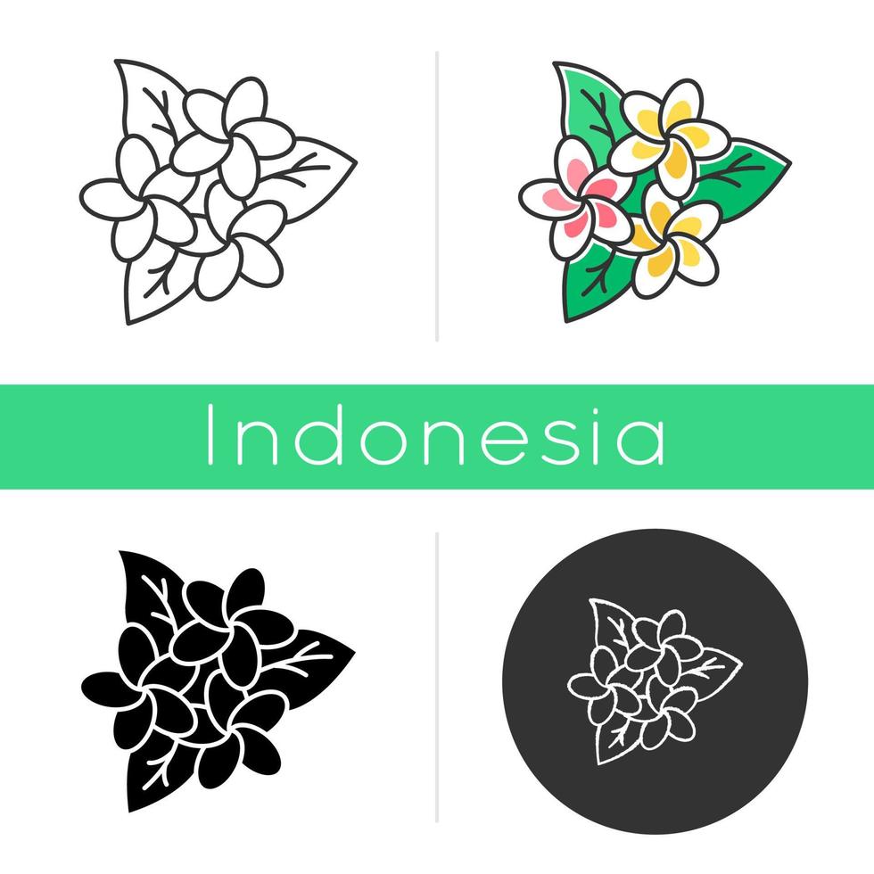 Plumeria inflorescence icon. Exotic region flowers. Flora of Indonesian jungles. Small tropical plants. Blossom of frangipani. Linear, black, chalk and color styles. Isolated vector illustrations