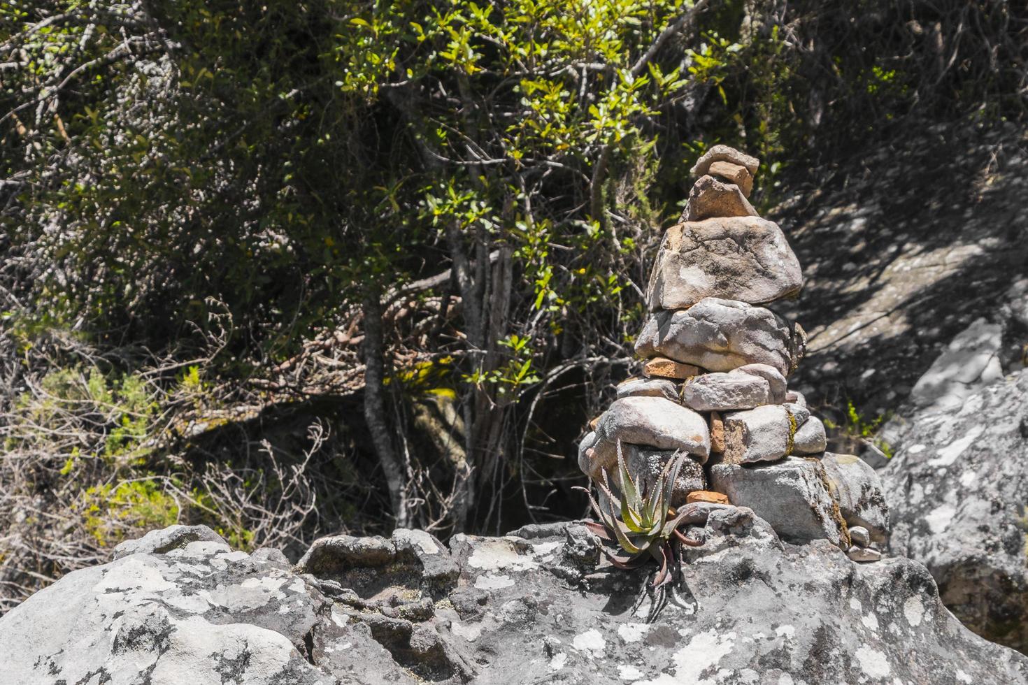 Stacked stones as a guide for hikers Table Mountain Nationalpark. photo