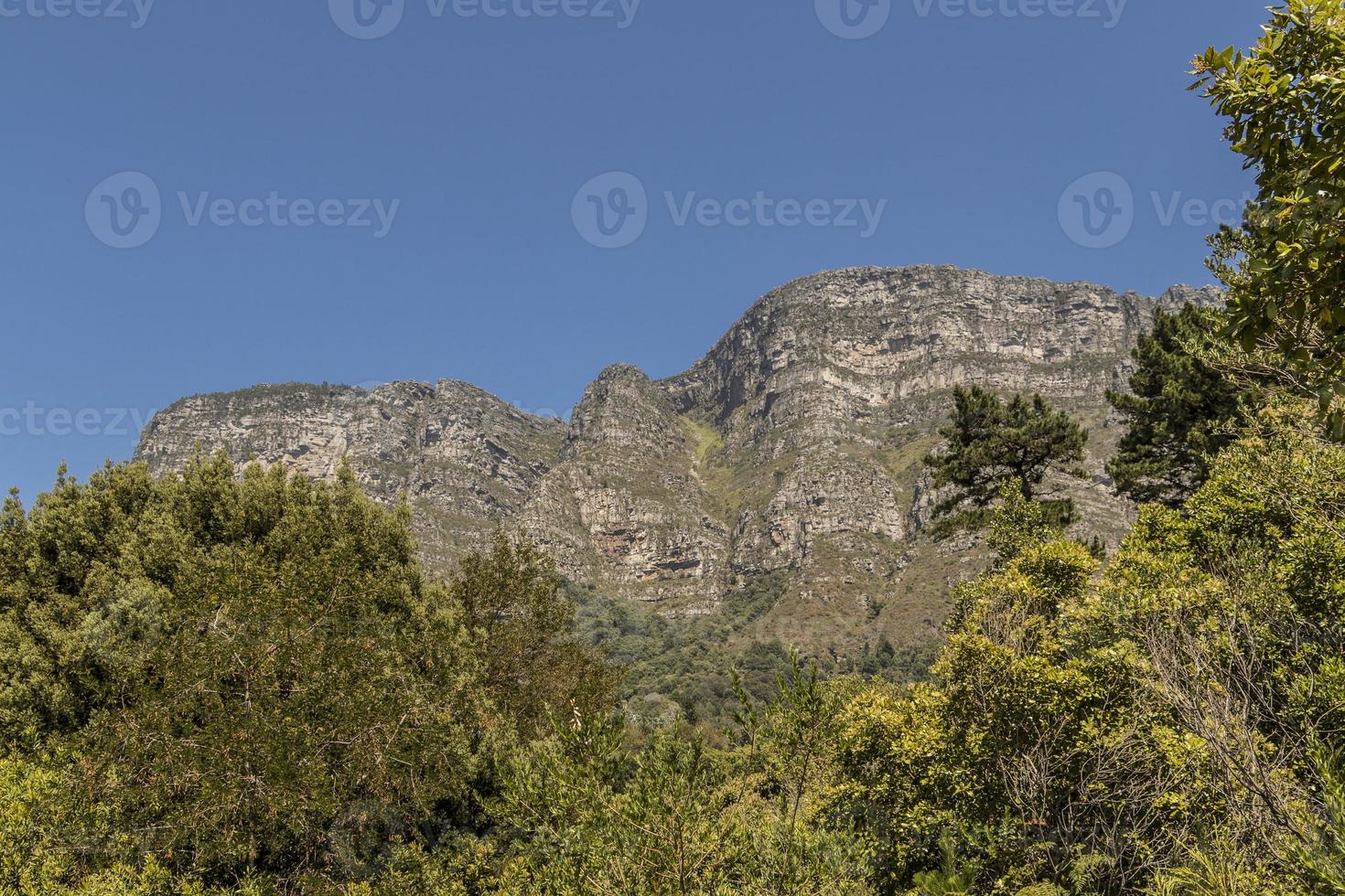 Mountains in the Tablemountain National Park in Cape Town. photo