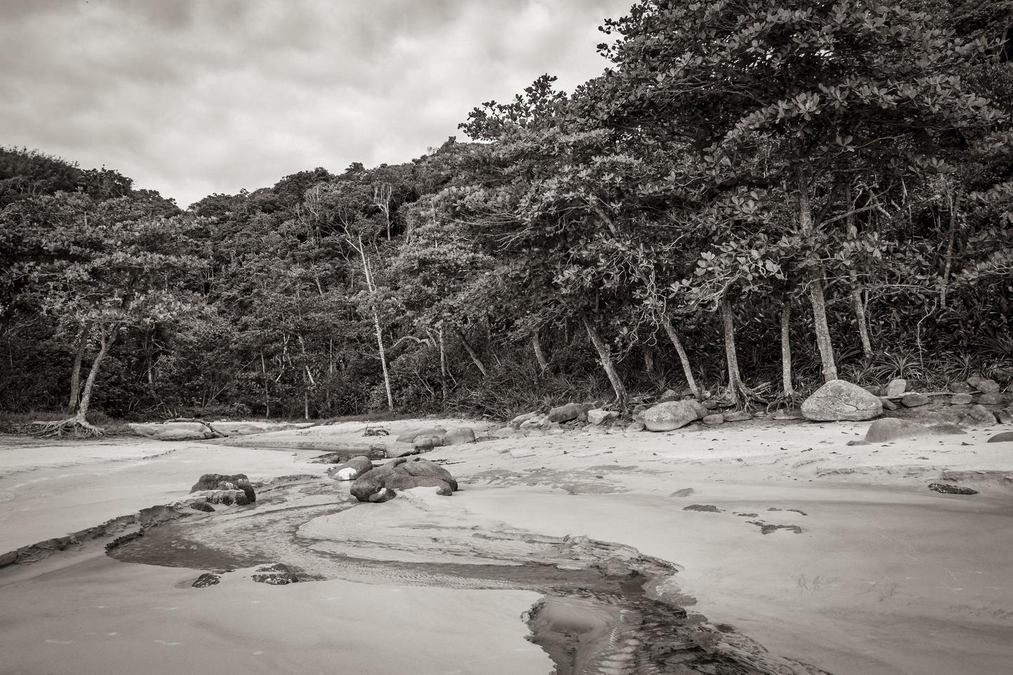 gran isla tropical natural playa ilha grande santo antonio brasil. foto