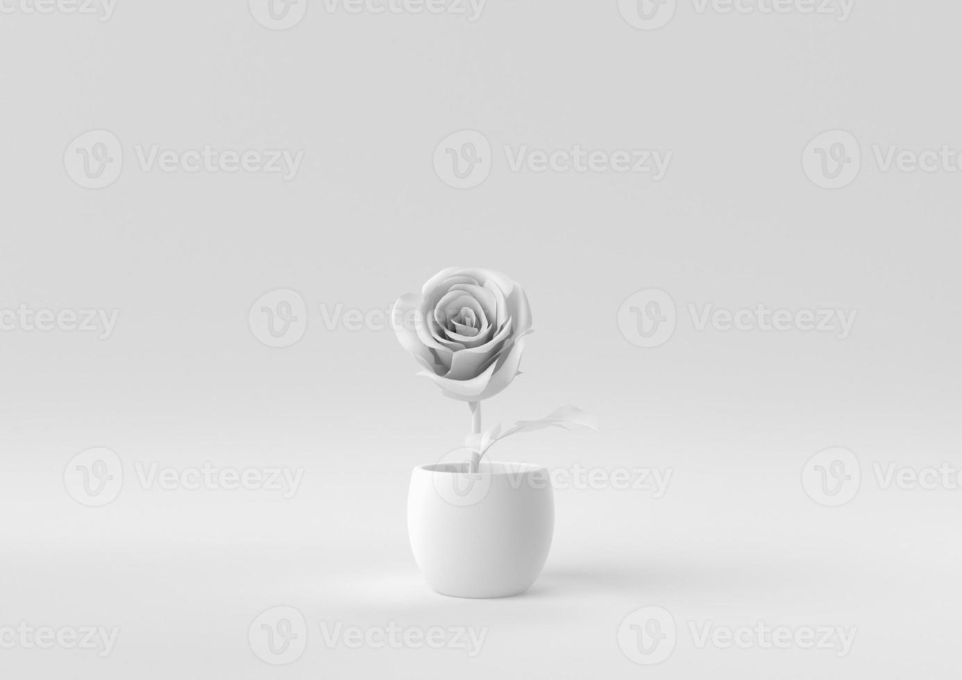 White Tree pot in white background. minimal concept idea creative. monochrome. 3D render. photo