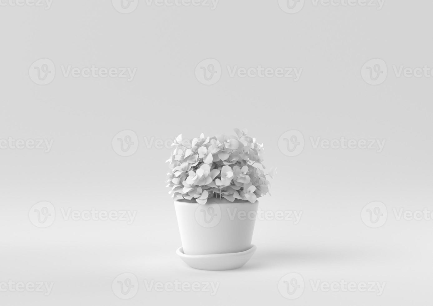 White Tree pot in white background. minimal concept idea creative. monochrome. 3D render. photo