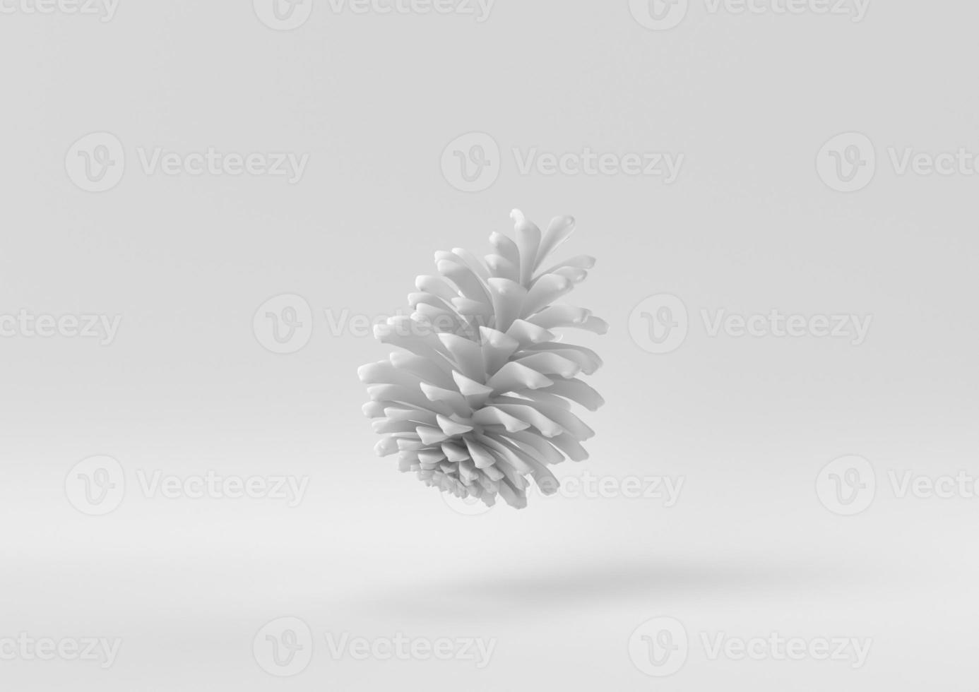 White Pine cone floating in white background. minimal concept idea creative. monochrome. 3D render. photo