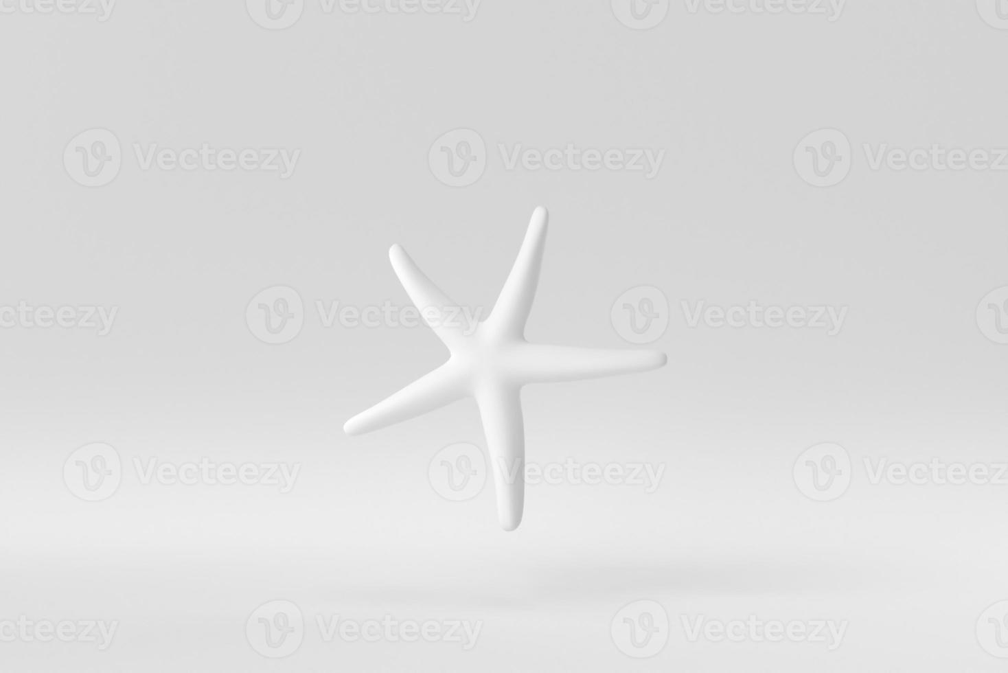 Caribbean starfish on a white background. minimal concept. monochrome. 3D render. photo