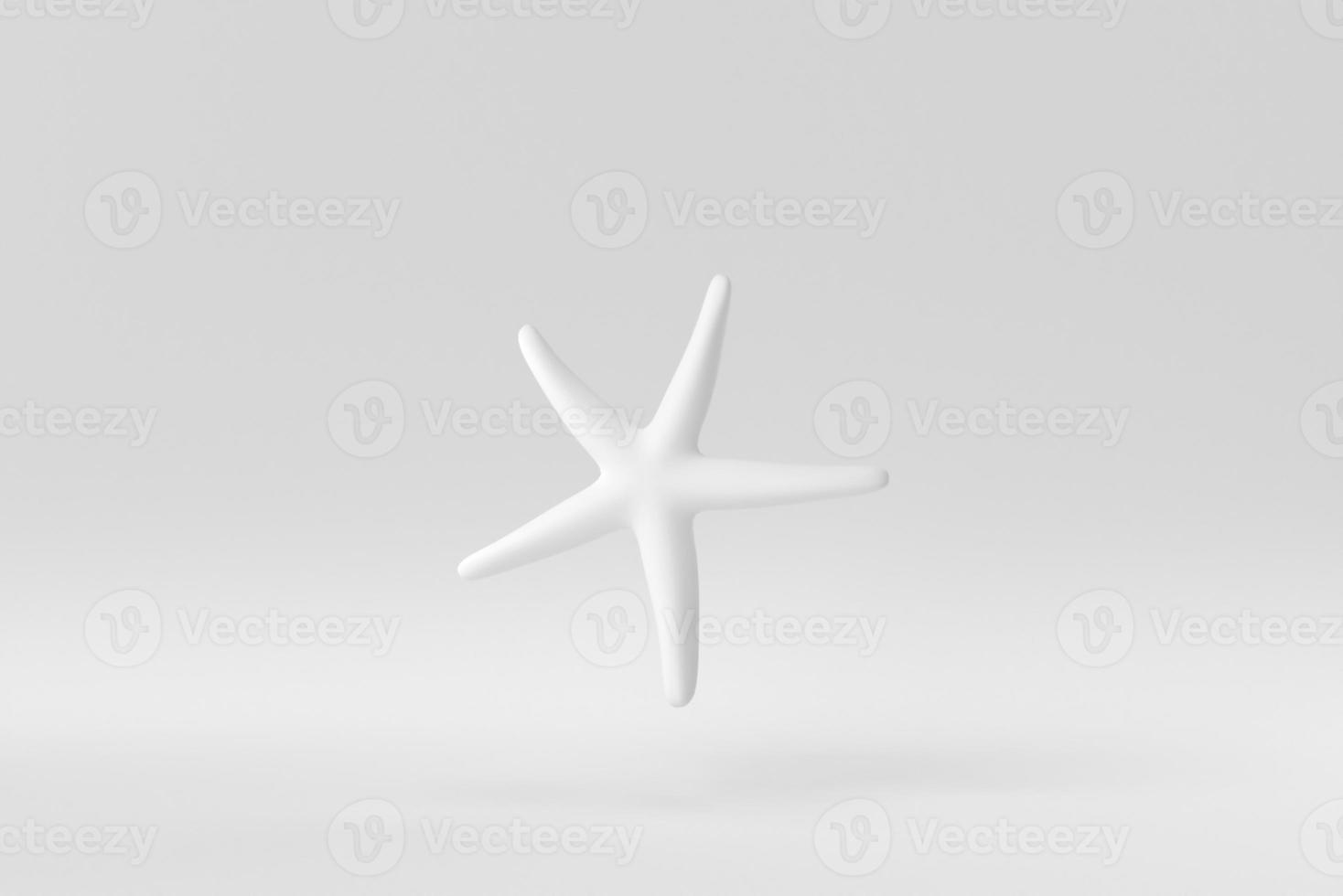 Caribbean starfish on a white background. minimal concept. monochrome. 3D render. photo