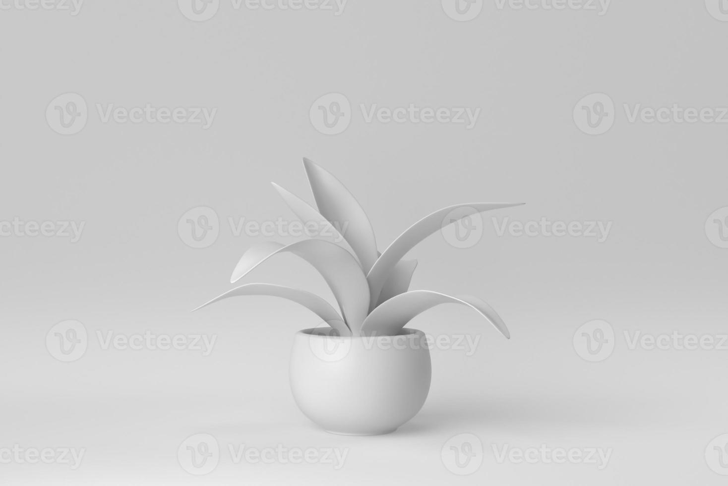 pequeña planta de interior en una olla sobre fondo blanco. concepto mínimo. procesamiento 3d foto