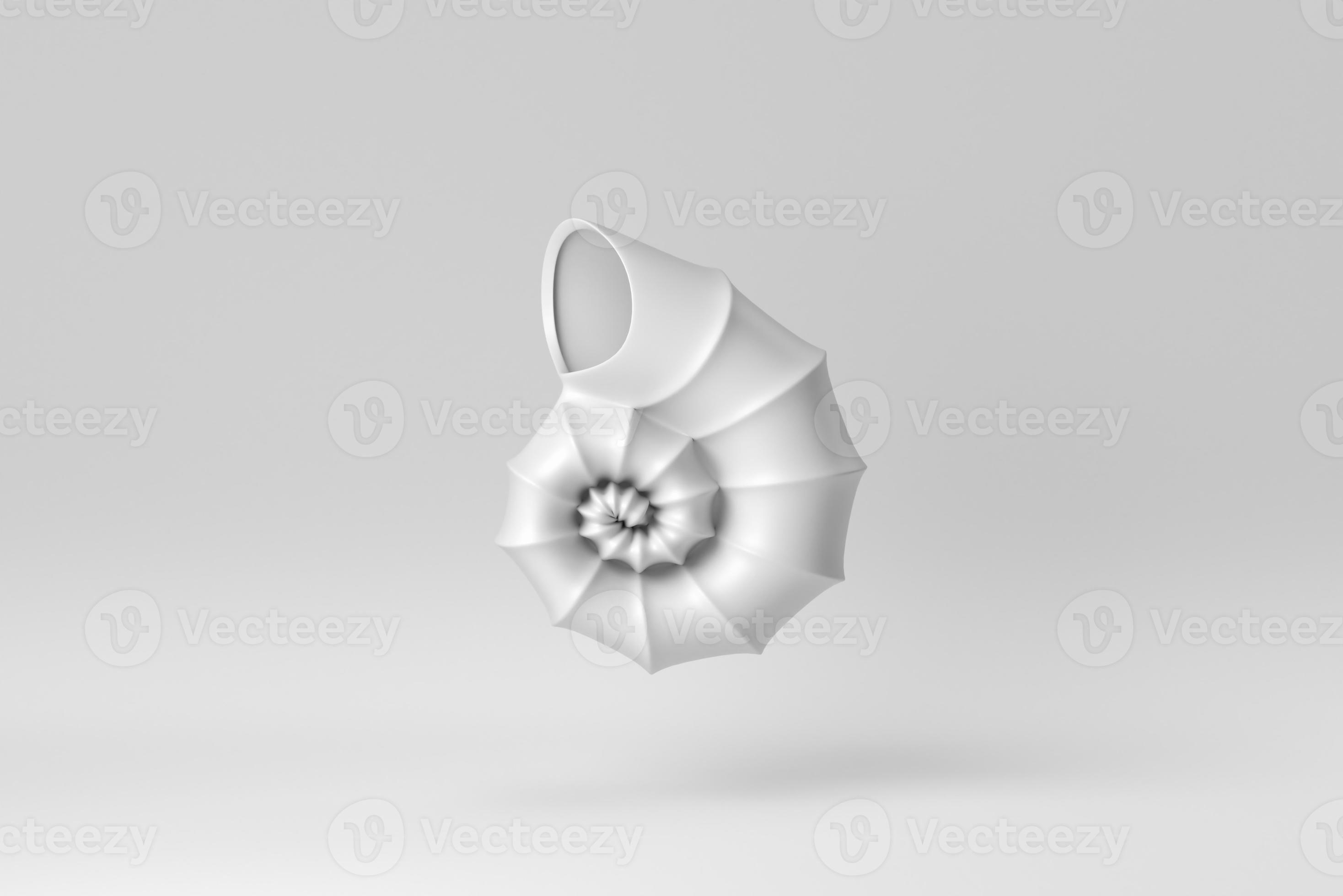 Sea shell or Nautilus shell on white background. Paper minimal concept