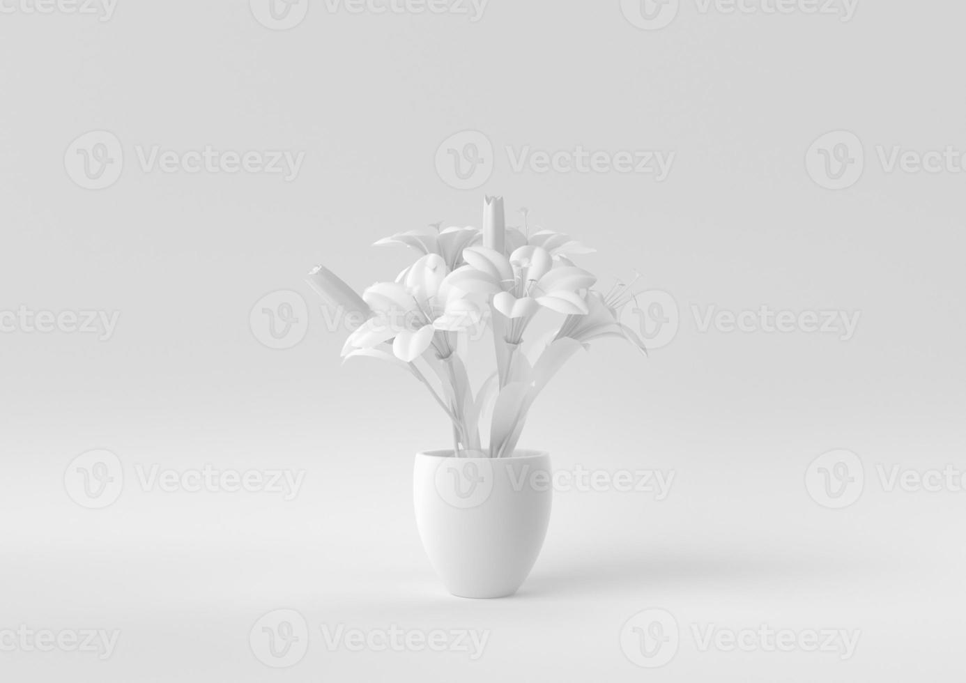 White Tree pot in white background. minimal concept idea creative. monochrome. 3D render. photo