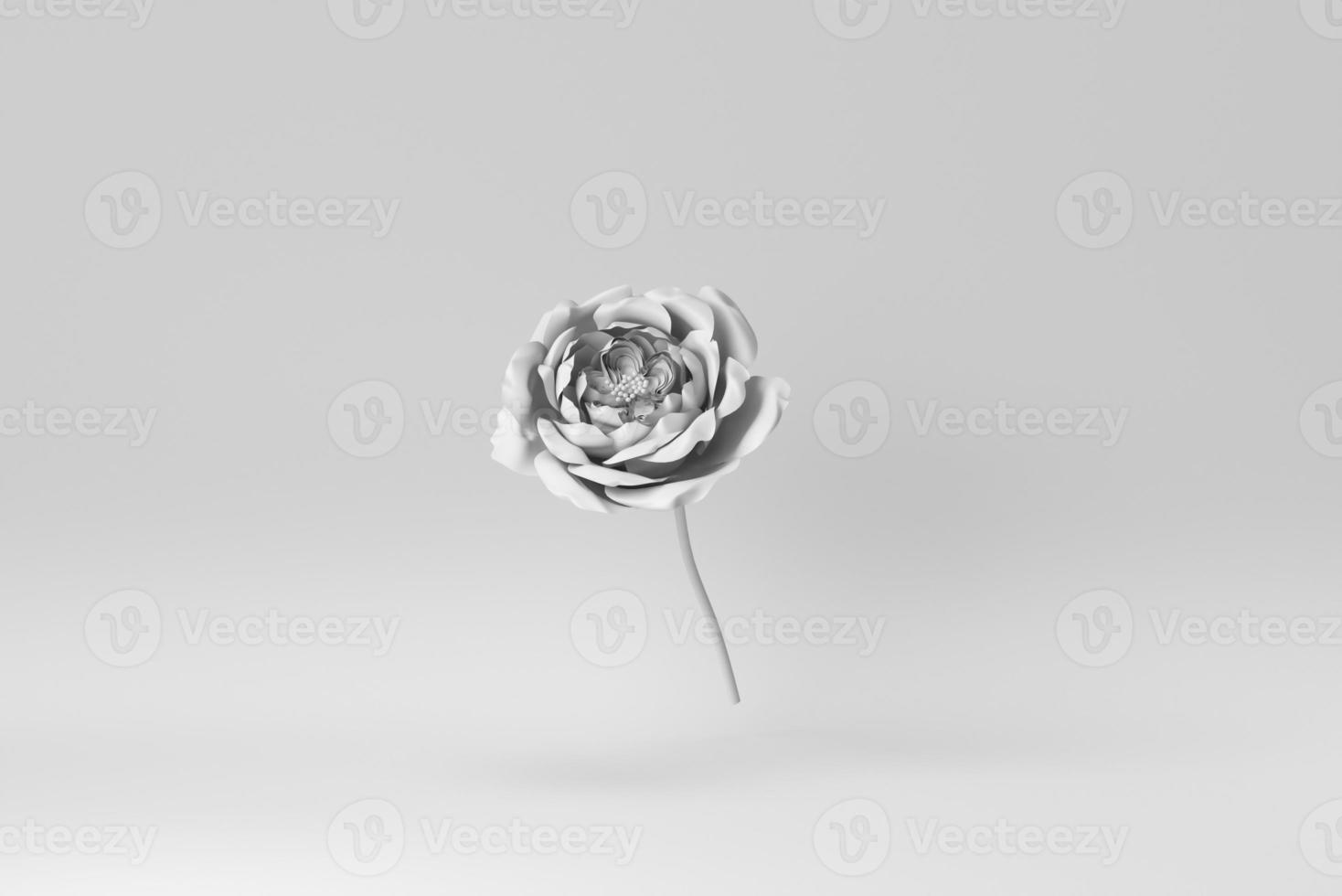 rose blossom on white background. Paper minimal concept. 3D render. photo