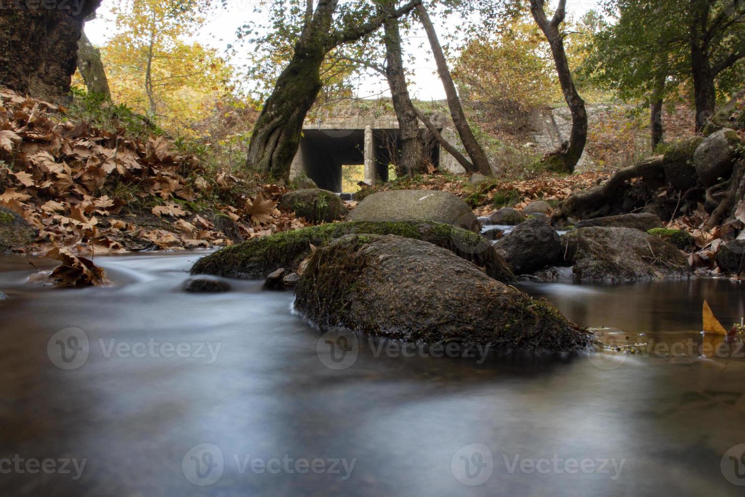 Fallen leaves in the rocky waterfall. The rocky creek feeds into the along the River. Bridge in the forest. beautiful forest and river landscape. photo