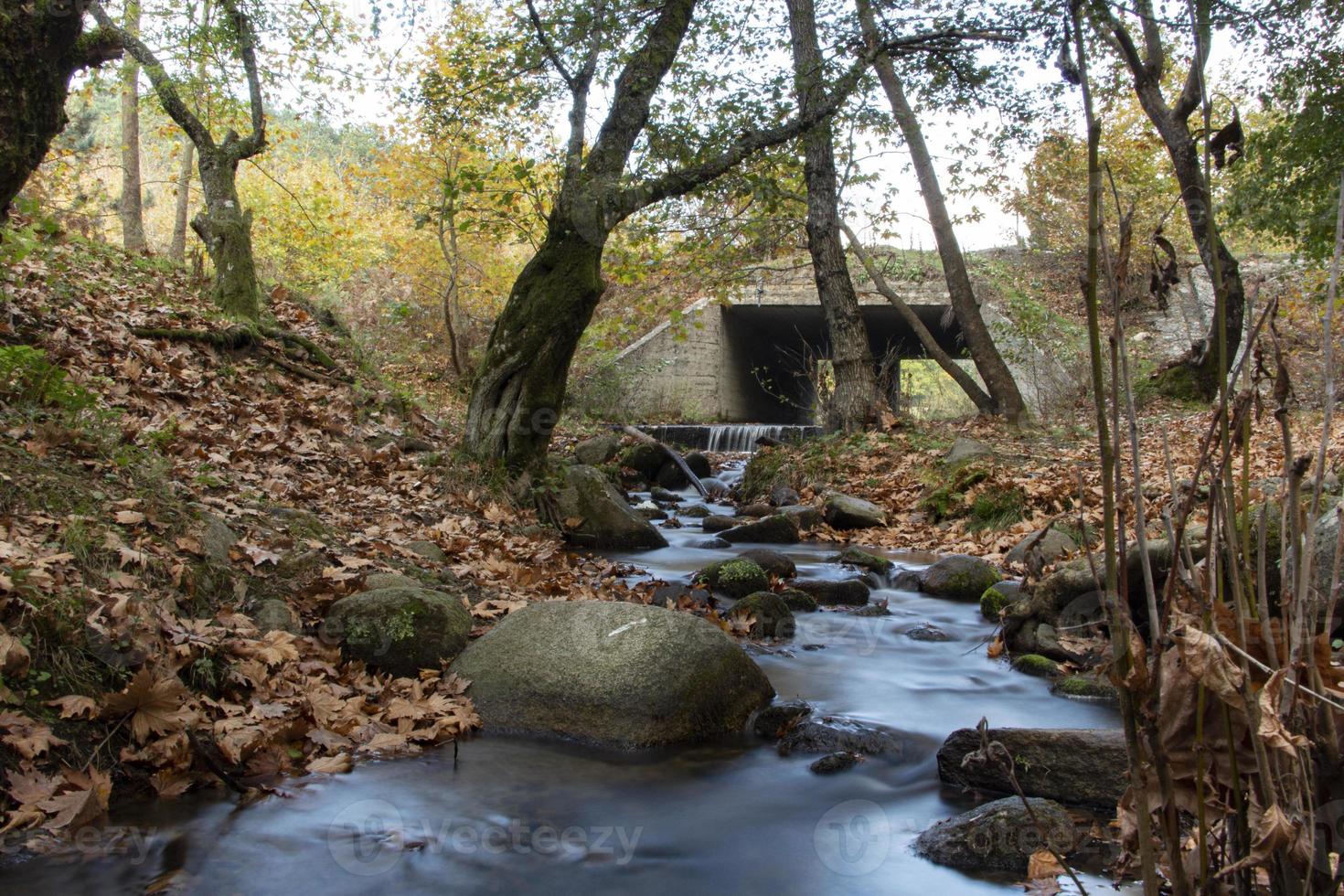Fallen leaves in the rocky waterfall. The rocky creek feeds into the along the River. Bridge in the forest. beautiful forest and river landscape. photo