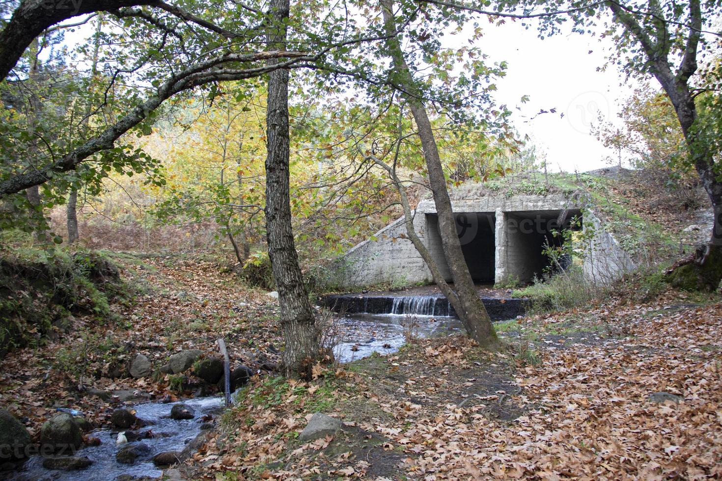 Fallen leaves in the rocky waterfall. The rocky creek feeds into the along the River. Bridge in the forest. beautiful forest and river landscape. photo