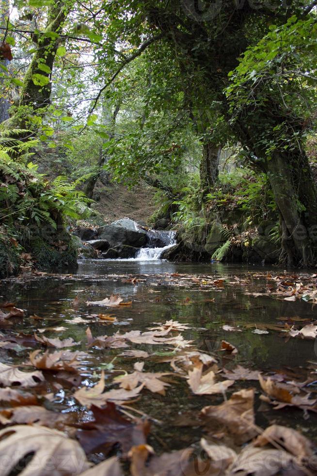 Fallen leaves in the rocky waterfall. The rocky creek feeds into the along the River. Waterfall in the forest. beautiful forest and river landscape. photo
