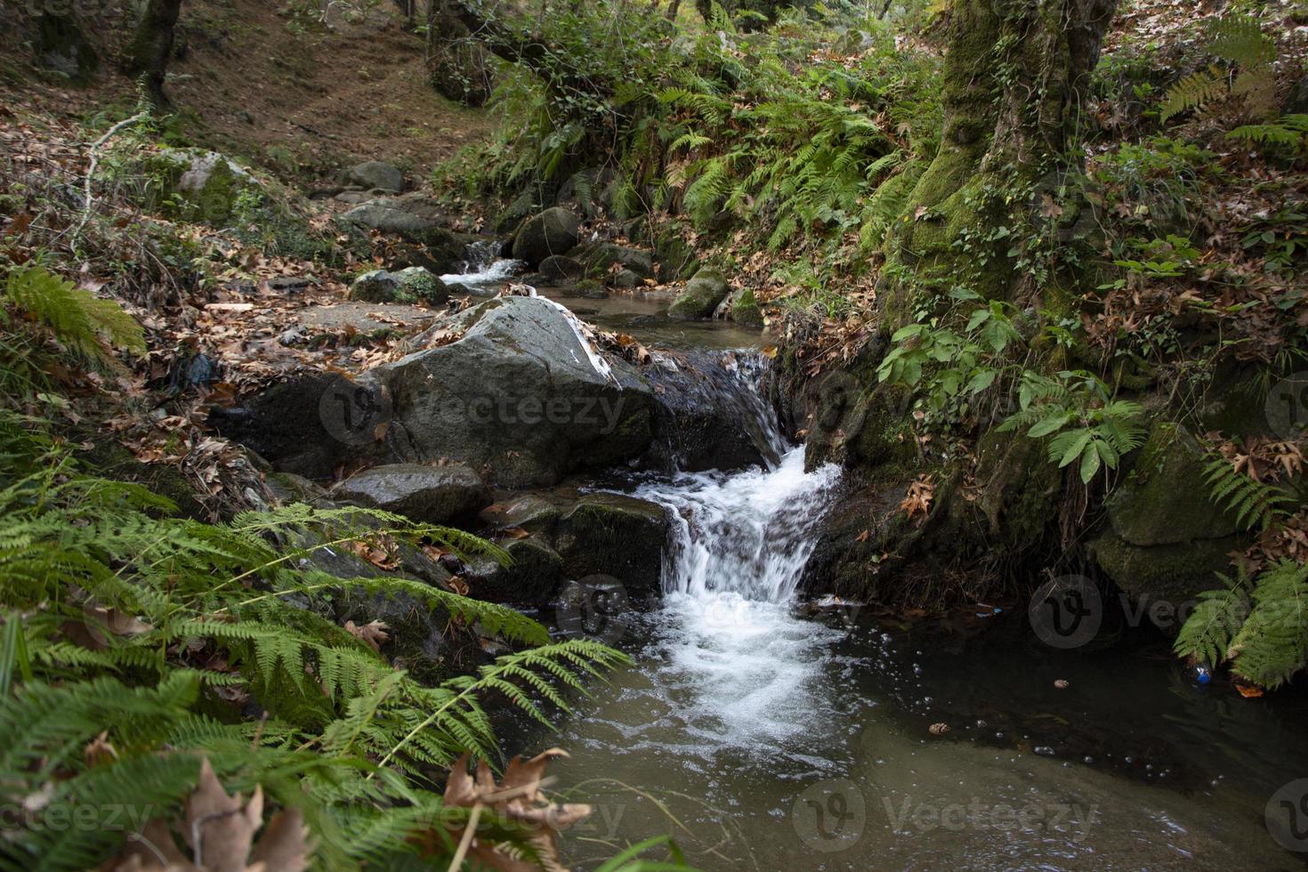 hojas caídas en la cascada rocosa. el arroyo rocoso se alimenta a lo largo del río. cascada en el bosque. hermoso paisaje de bosque y río. foto