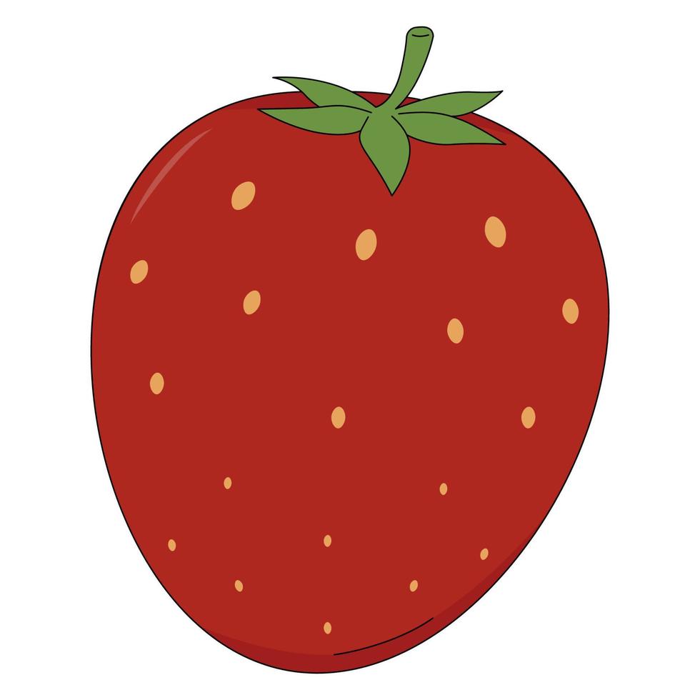 ilustración vectorial de fresa. Berry en estilo de dibujos animados aislado sobre fondo blanco. vector