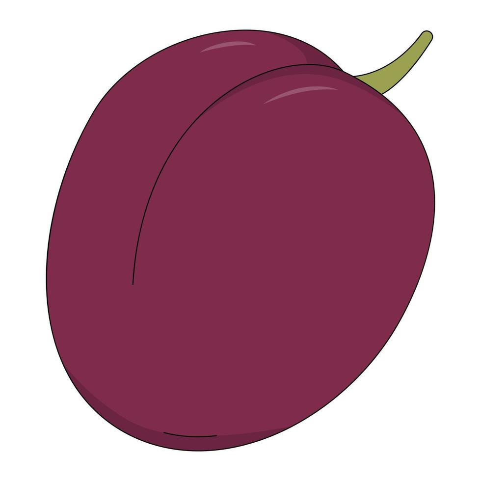 Vector illustration of plum. Fruit in cartoon style isolated on white background