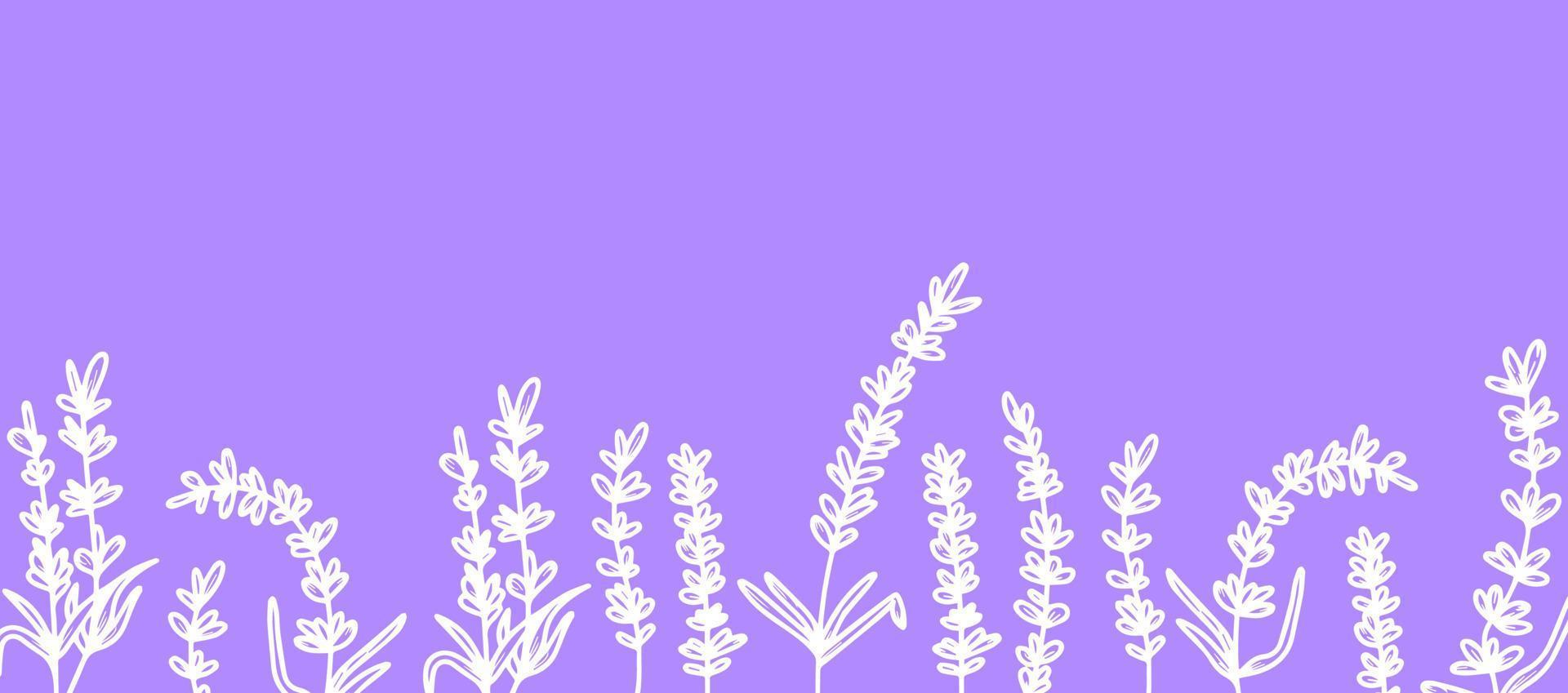 hermoso fondo con flores de lavanda dibujadas a mano, hierbas medicinales. para crear una pancarta, póster, postales. ilustración vectorial fondo lila. el concepto de provenza francesa, una tendencia botánica. vector