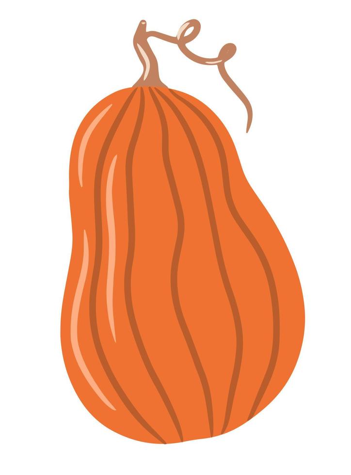 Cute colored pumpkin, unusual pumpkin, single illustration on an isolated white background, autumn pumpkin, autumn vegetable. Cartoon illustration, modern design. Halloween pumpkin. Vector, Print vector