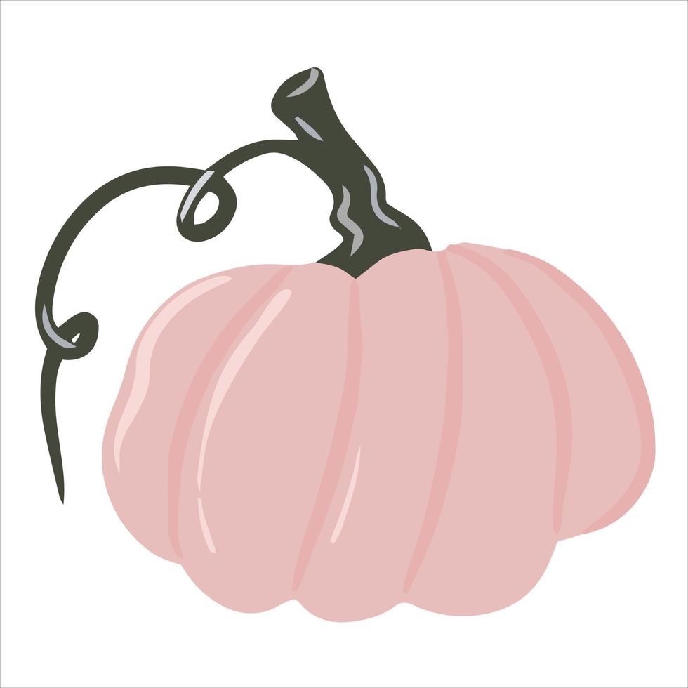 Cute colored pumpkin, unusual pumpkin, single illustration on an isolated white background, autumn pumpkin, autumn vegetable. Cartoon illustration, modern design. Halloween pumpkin. Vector, Print vector