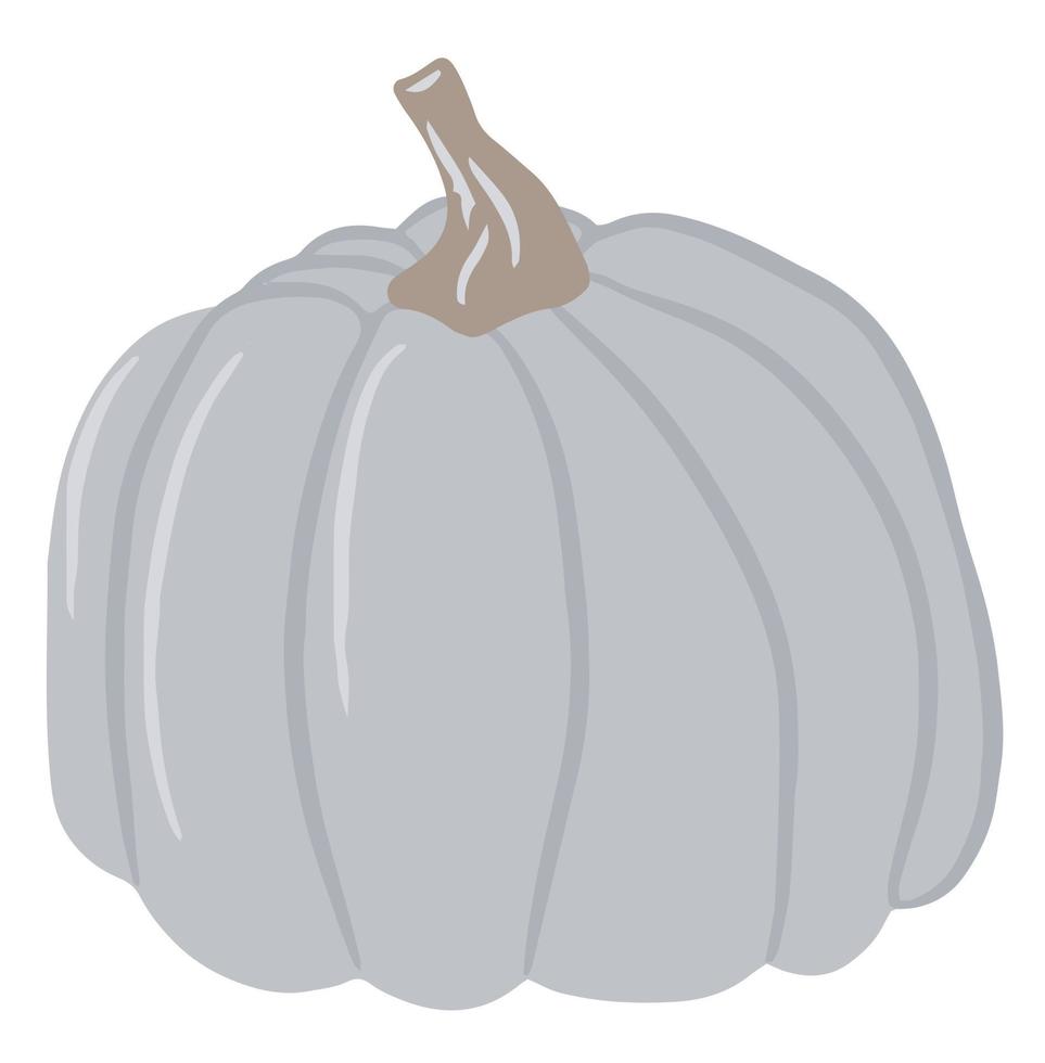 Cute colored pumpkin, unusual pumpkin, single illustration on an isolated white background, autumn pumpkin, autumn vegetable. Cartoon illustration, modern design. Halloween pumpkin. Vector, Print vector