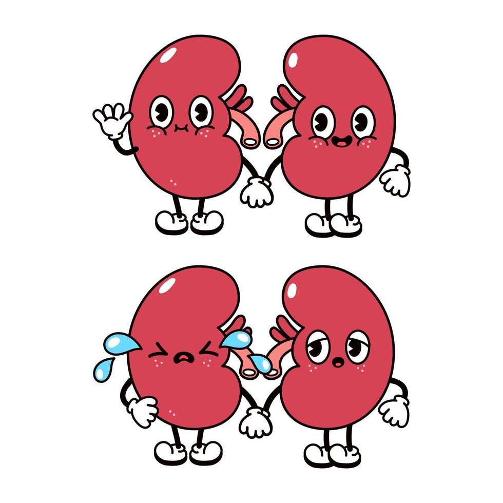 Funny cute kidneys characters bundle set. Vector hand drawn doodle style traditional cartoon vintage, retro character illustration icon design. Isolated white background. Happy kidneys mascot