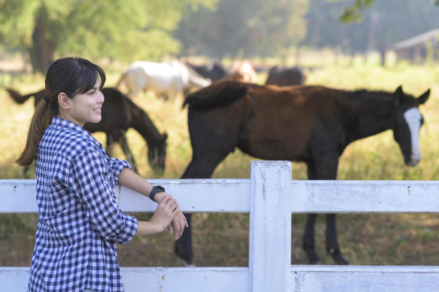 Young farmer with  horses in pasture, Country summer landscape. photo