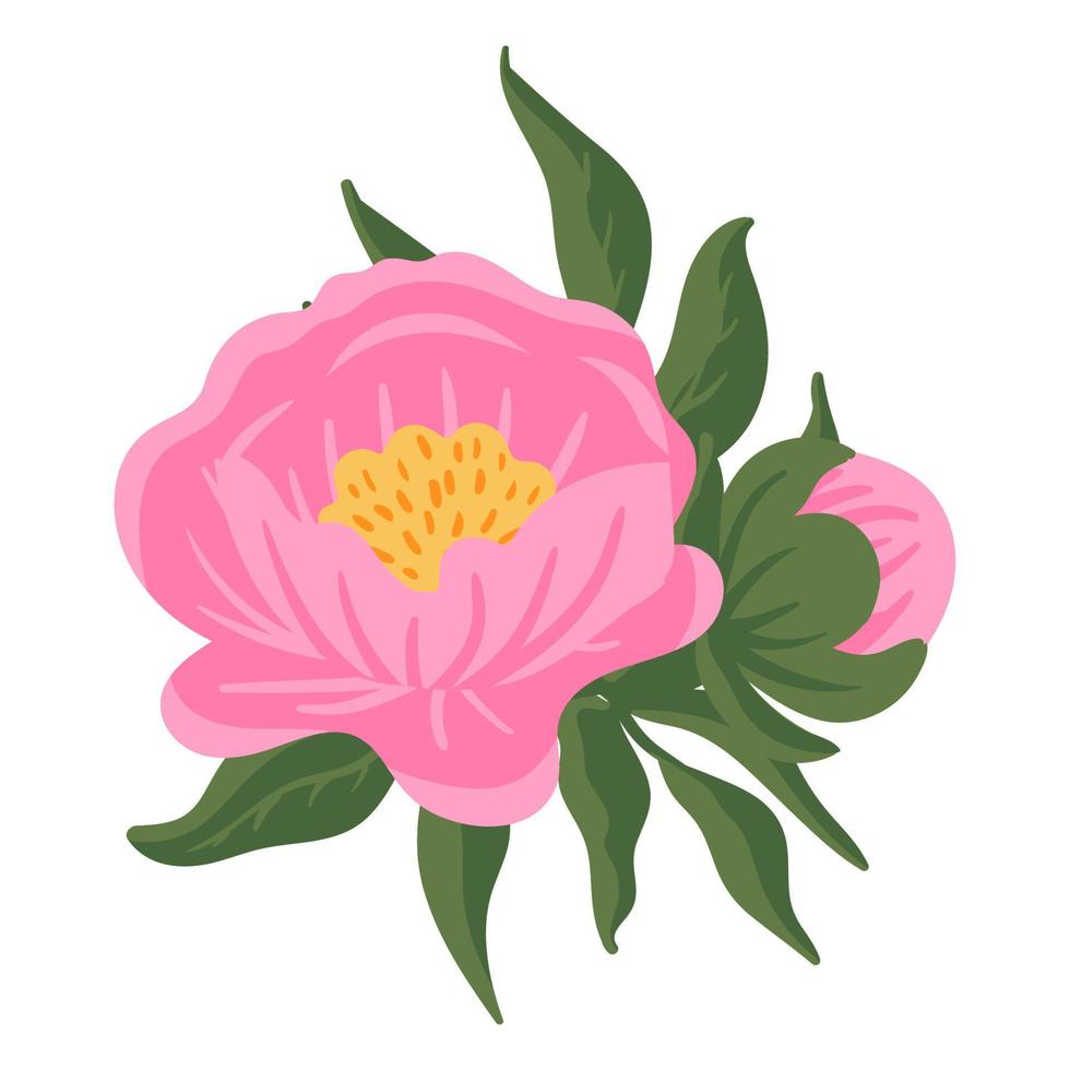 Flower composition. Pink peonies with green leaves. Vector romantic garden illustration. Botanical collection for wedding invitation, patterns, wallpapers, fabric, wrapping