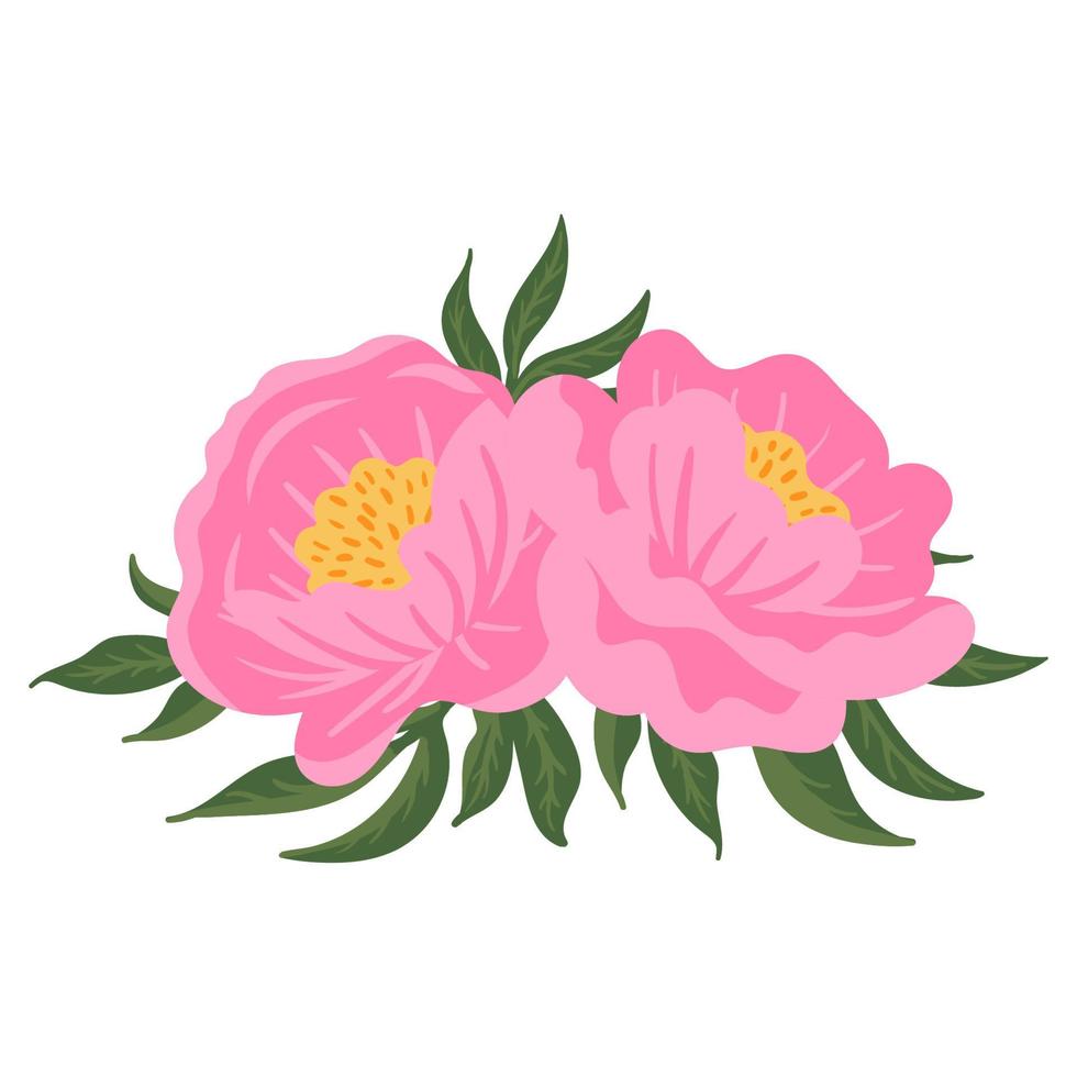 Flower composition. Pink peonies with green leaves. Vector romantic garden illustration. Botanical collection for wedding invitation, patterns, wallpapers, fabric, wrapping