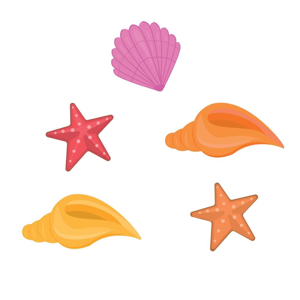 Set of seashells isolated on white background. Vector illustration
