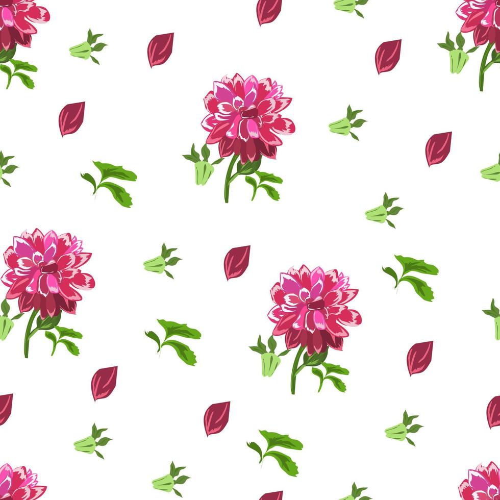 Seamless pattern with dahlias on a white background. vector
