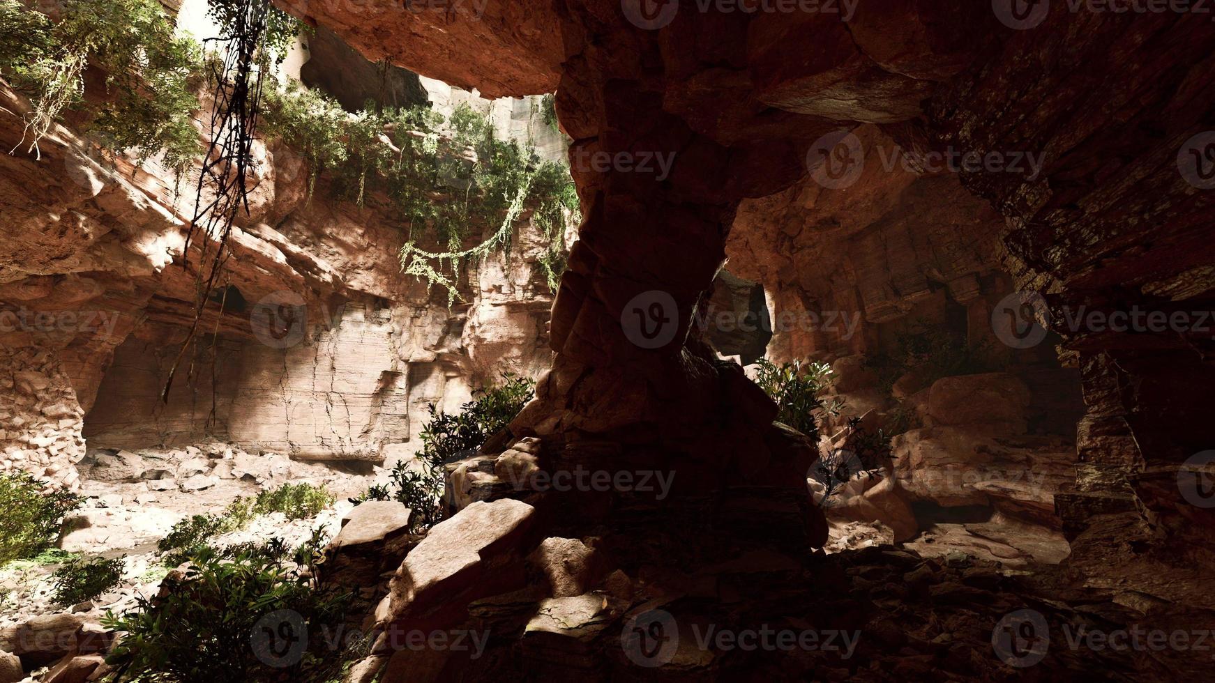 la vista dentro de la cueva de las hadas cubierta de plantas verdes que se iluminan solas foto