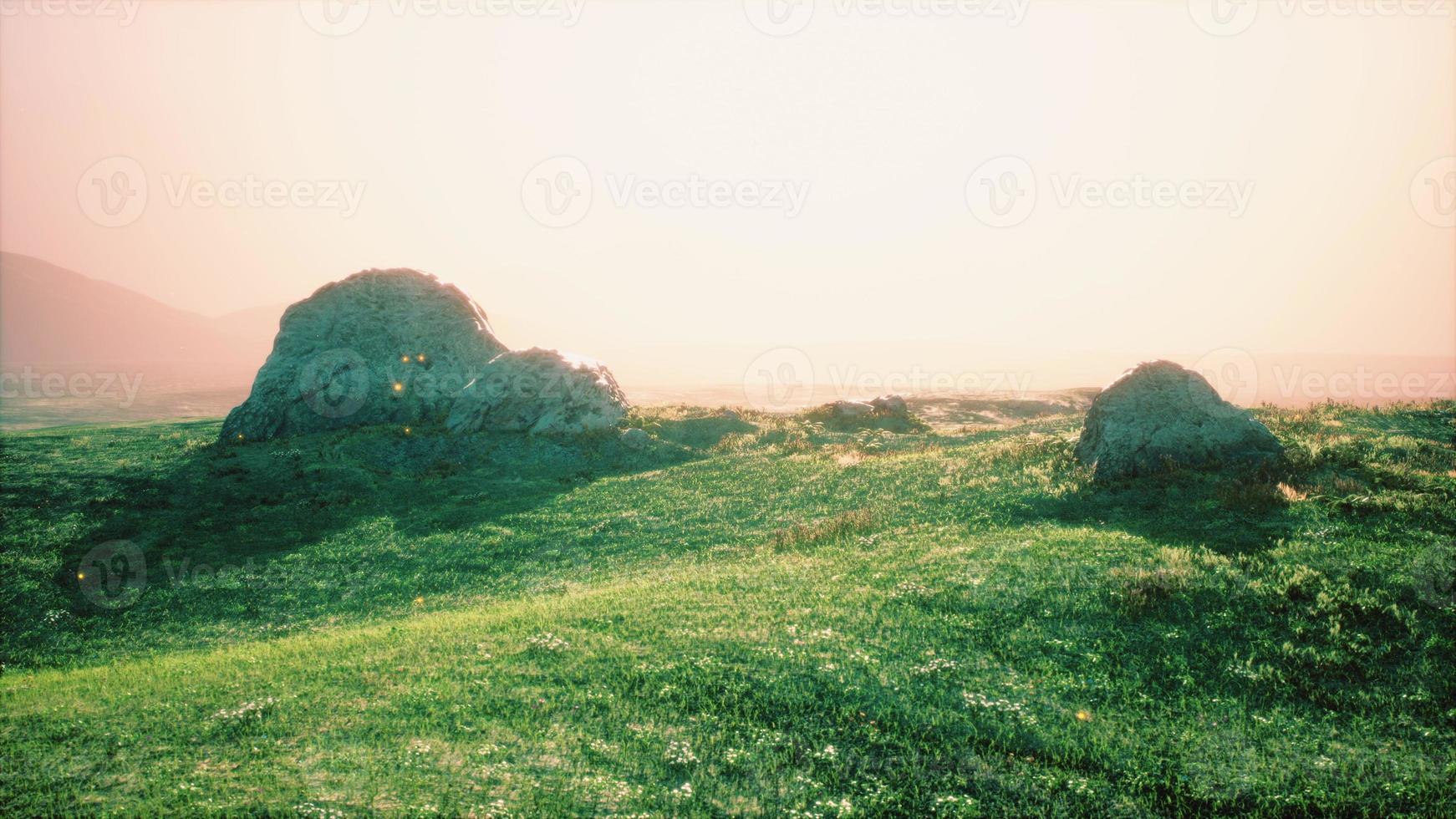 prado alpino con rocas y hierba verde foto