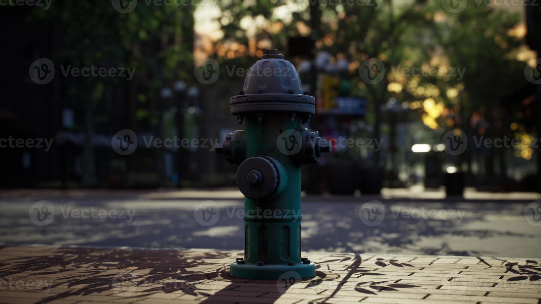 empty public park during curfew cause of Corona Virus quarantine photo